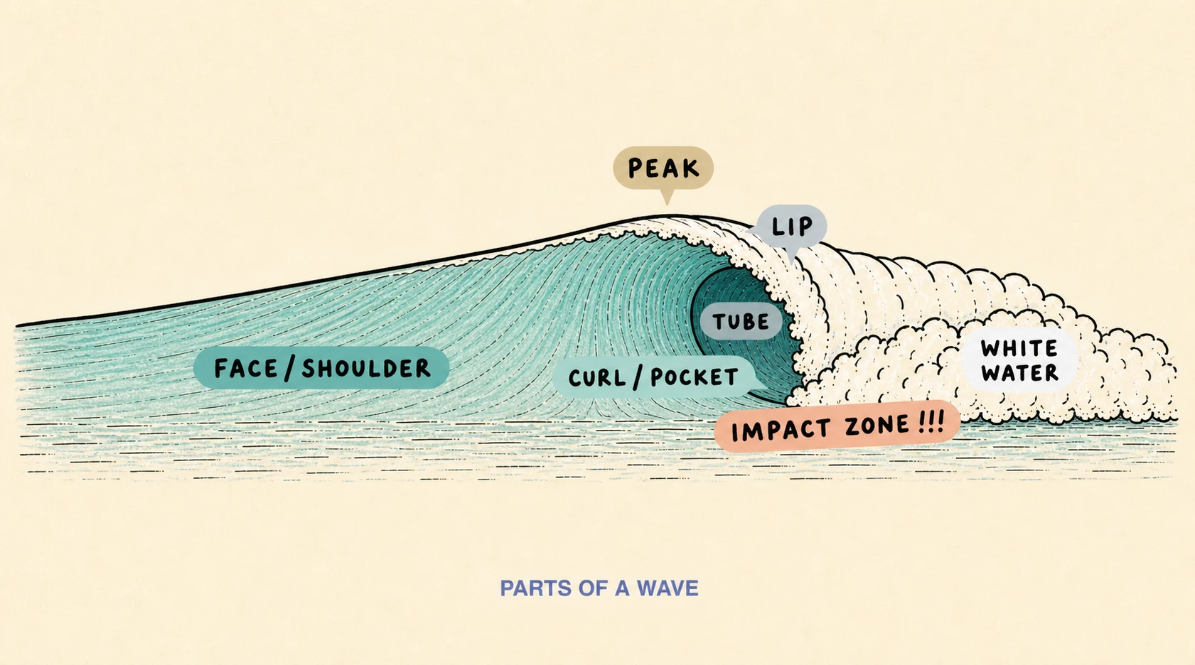 Hand-drawn diagram labeling the peak, lip, tube, face, shoulder, curl, impact zone and whitewater.
