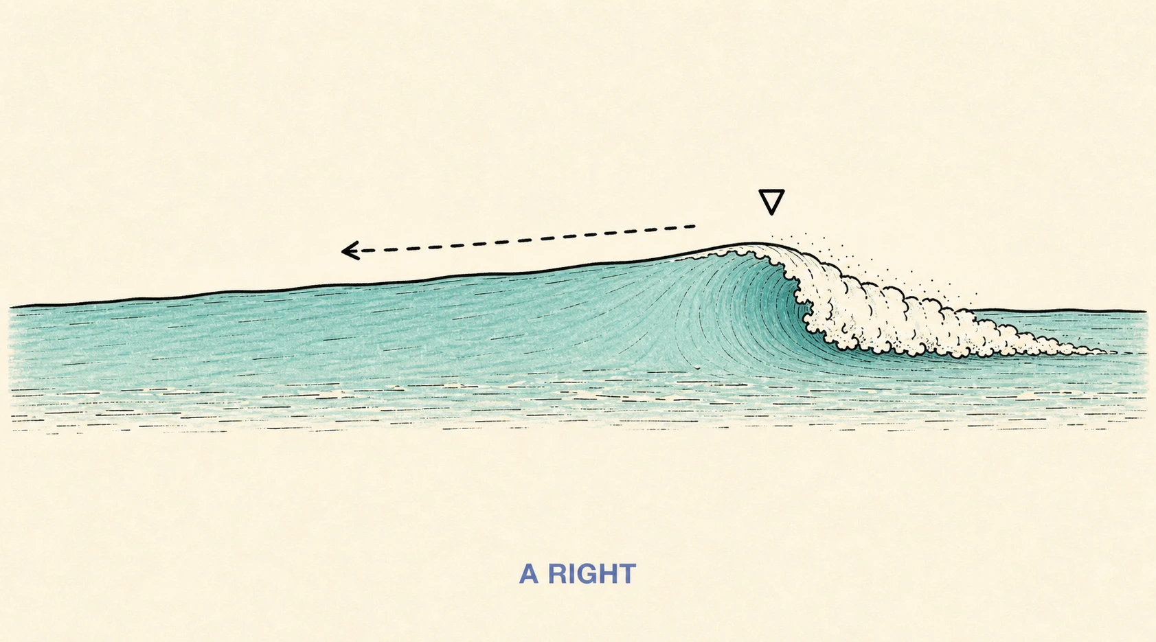 Hand-drawn right-breaking wave with a long open face peeling away from the foam.